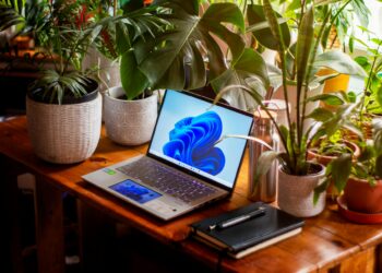 Qual é o melhor Office para Windows 11