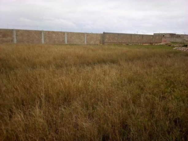 chiango-terreno-2025-zona-vip-ha-240-metros-da-estrada-circular-big-2