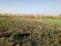estrada-circular-trespasso-terreno-15-hectares-muntanhana-small-3