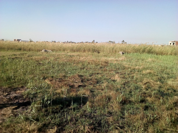 estrada-circular-trespasso-terreno-15-hectares-muntanhana-big-3