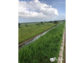 terreno-60-hectares-na-berma-da-circular-muntanhana-marracuene-small-0