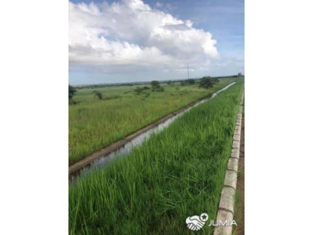 terreno-60-hectares-na-berma-da-circular-muntanhana-marracuene-big-0