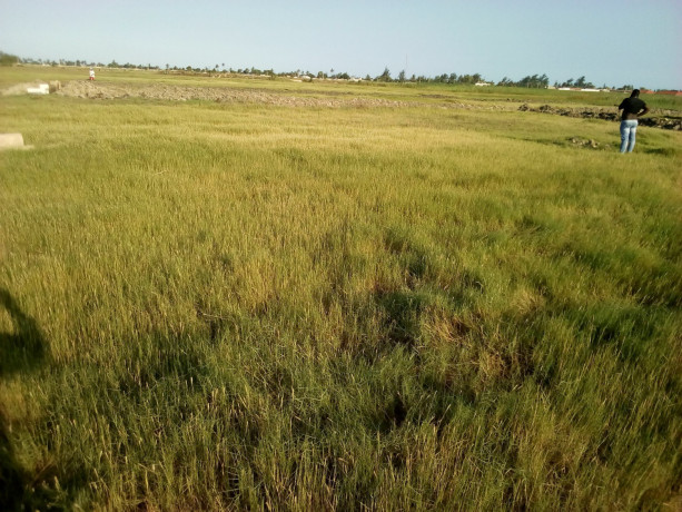 terreno-60-hectares-na-berma-da-circular-muntanhana-marracuene-big-2