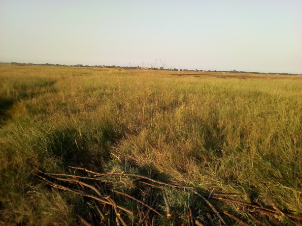 terreno-1001500-15-hectares-estrada-circular-muntanhana-big-3