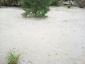 terreno-1733-costa-sol-proximo-novo-projeto-habitacional-small-3
