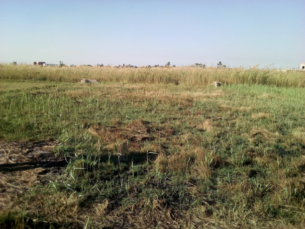 terreno-62-hectares-na-estrada-circular-zona-de-muntanhana-big-3