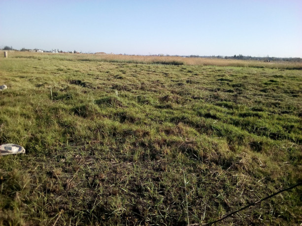 terreno-62-hectares-na-estrada-circular-zona-de-muntanhana-big-1