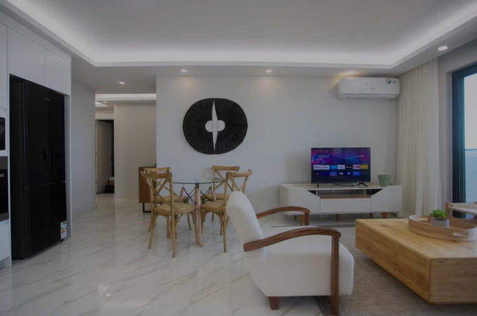 arrenda-se-luxuoso-apartamento-t1-mobilado-no-park-moza-big-0