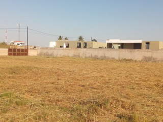 terreno-5050-c-muro-costa-do-sol-mapulene