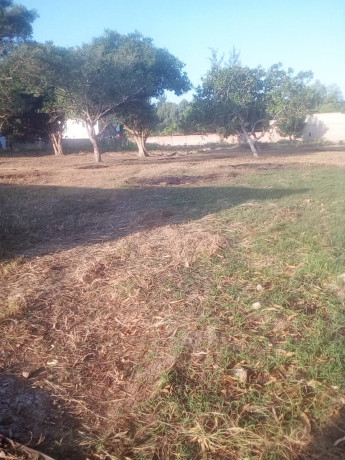 vendo-propriedade-c-muro-chiango-5070-prox-condominios-ss-construcoes-big-3