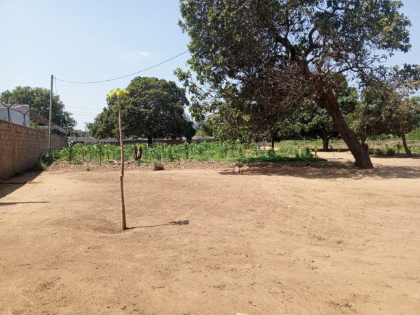 trespasse-de-terra-no-bairro-mozal-terrenos-20x50-big-0