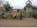 casa-tipo-2-machava-small-0