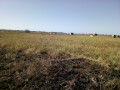 terreno-2020-no-chiango-a-250-metros-da-estrada-circular-small-3