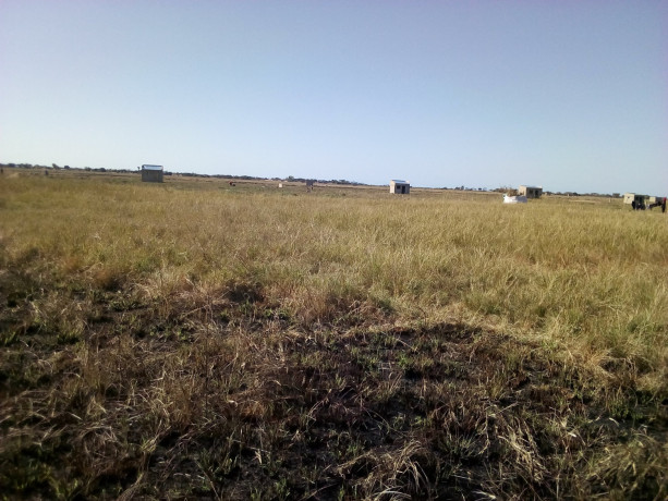terreno-2020-no-chiango-a-250-metros-da-estrada-circular-big-3