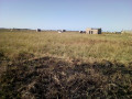 chiango-terreno-2020-ha-250-metros-da-estrada-circular-small-1