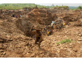 concessao-de-mina-de-ouro-tete-macanga-4800-hectares-small-1