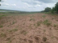 hectares-small-2