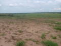 hectares-small-3