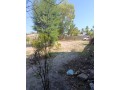 trespasse-de-terreno-na-costa-do-sol-mapulene-small-1
