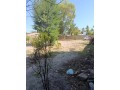 trespasse-de-terreno-na-costa-do-sol-mapulene-small-2
