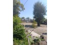 trespasse-de-terreno-na-costa-do-sol-mapulene-small-4