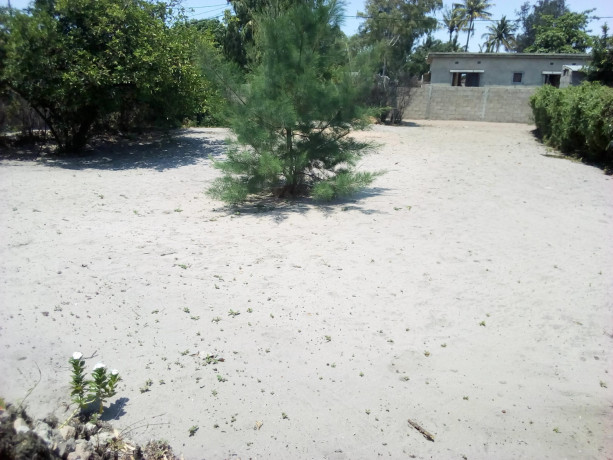 trespasso-terreno-1733-costa-do-sol-zona-arenoso-big-2