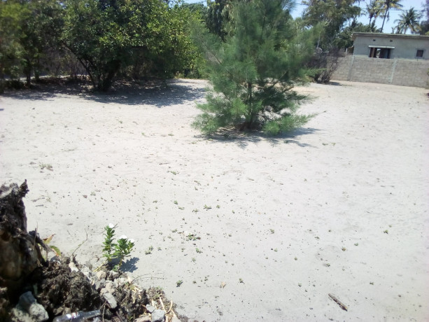 trespasso-terreno-1733-costa-do-sol-zona-arenoso-big-3