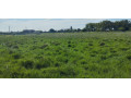 trespasse-terreno-50x100-chihango-small-0