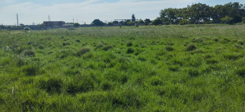 trespasse-terreno-50x100-chihango-big-0
