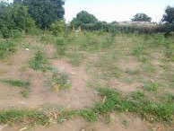 transpasse-de-terreno-em-tchumene-2