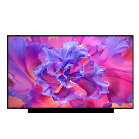 ne133qdm-n60-ecra-lcd-133-wqxga-2560x1600-40-pinos-b133qan041-lp133wq1-spd1-n133gca-gq1-100-srgb-touch-big-1