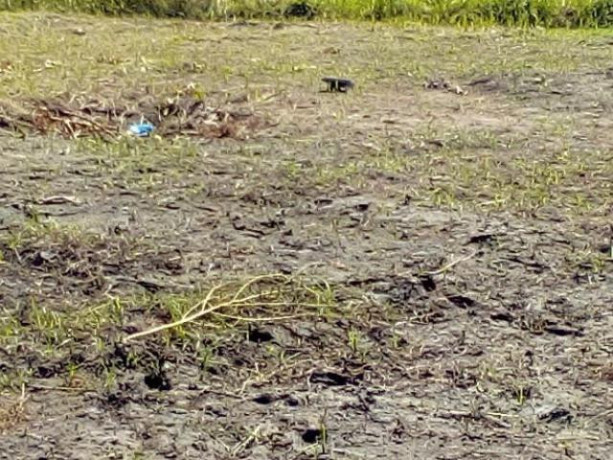 costa-do-sol-zona-de-expansao-terreno-1530-big-2