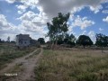 vende-se-uma-propriedade-de-hectares-small-0