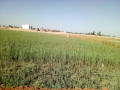 terreno-5060-na-estrada-circular-costa-do-sol-casa-jovem-small-4
