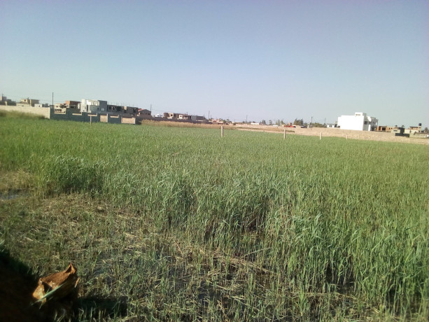 terreno-5060-na-estrada-circular-costa-do-sol-casa-jovem-big-2