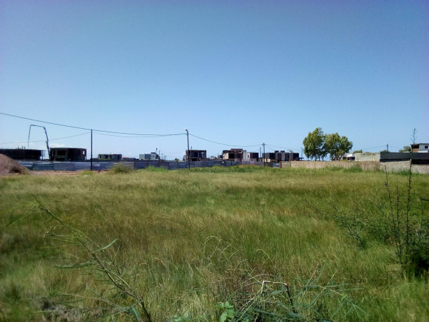 chiango-zona-vip-ha-220-metros-da-estrada-terreno-2025-big-1