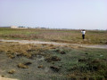 costa-do-sol-terreno-1530-zona-de-expansao-small-1