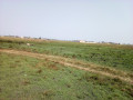 costa-do-sol-terreno-1530-zona-de-expansao-small-3