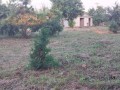 baixou-transpasse-se-terreno-de-40mx50m-duat-tchumene-2-matola-small-1