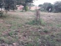 baixou-transpasse-se-terreno-de-40mx50m-duat-tchumene-2-matola-small-2