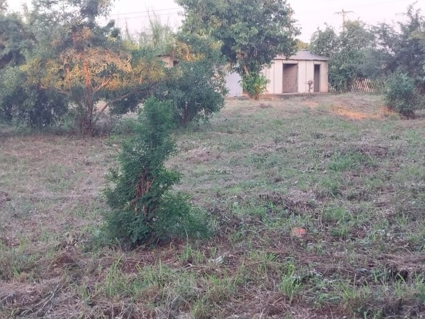 baixou-transpasse-se-terreno-de-40mx50m-duat-tchumene-2-matola-big-1