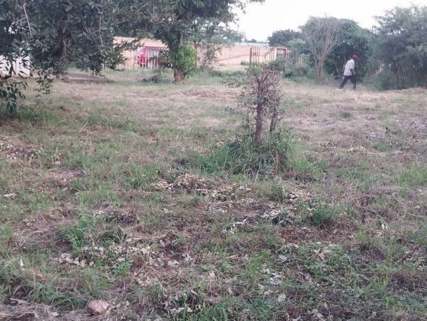 baixou-transpasse-se-terreno-de-40mx50m-duat-tchumene-2-matola-big-2