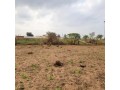 vende-se-terreno-10050-na-circular-small-2