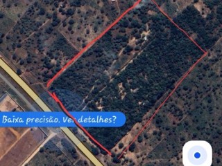 vendo-um-terreno-de-5-hectares-na-n4-antes-da-bascula