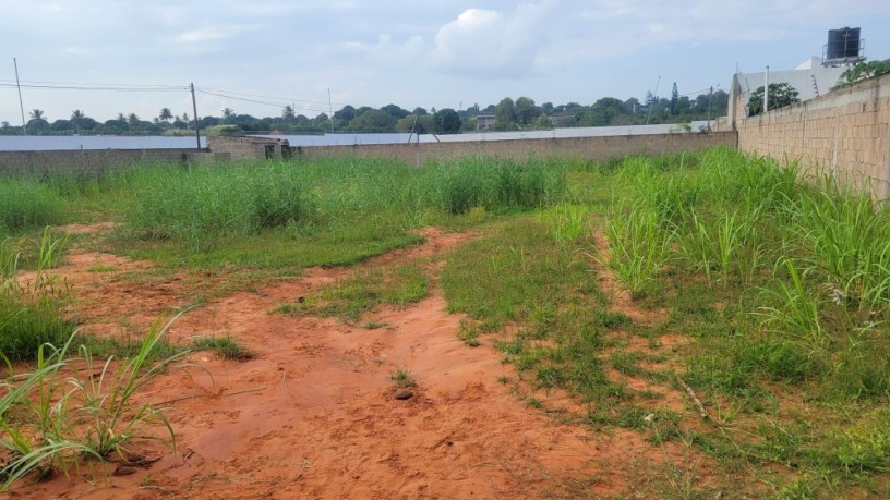um-terreno-4030-no-condominio-panthera-em-frente-do-hospital-provincial-da-matola-big-0