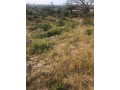 trespassa-se-10-hectares-em-boane-com-uma-dependencia-tipo-2-small-1