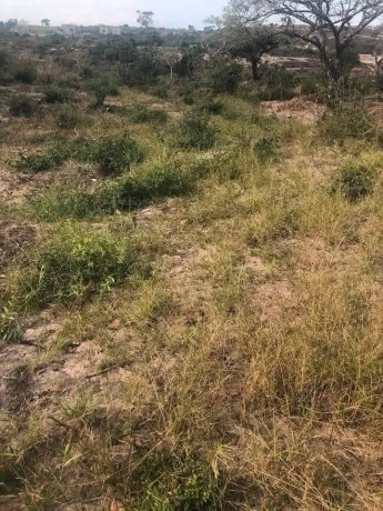 trespassa-se-10-hectares-em-boane-com-uma-dependencia-tipo-2-big-1