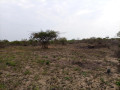aluguer-de-espaco-small-1