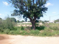 propriedade-com-875m2-em-tsalala-matola-small-1