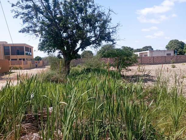 propriedade-com-875m2-em-tsalala-matola-big-2